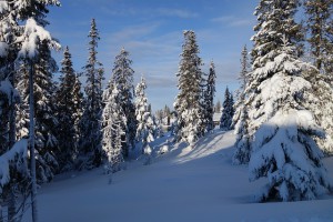 Schneelandschaft in Lillehammer