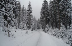 Winterberg im Winter